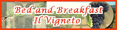 IL VIGNETO